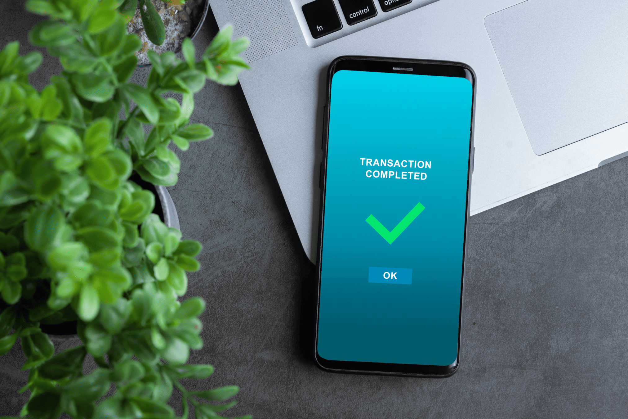 TriumphPay mobile app for managing carrier payments